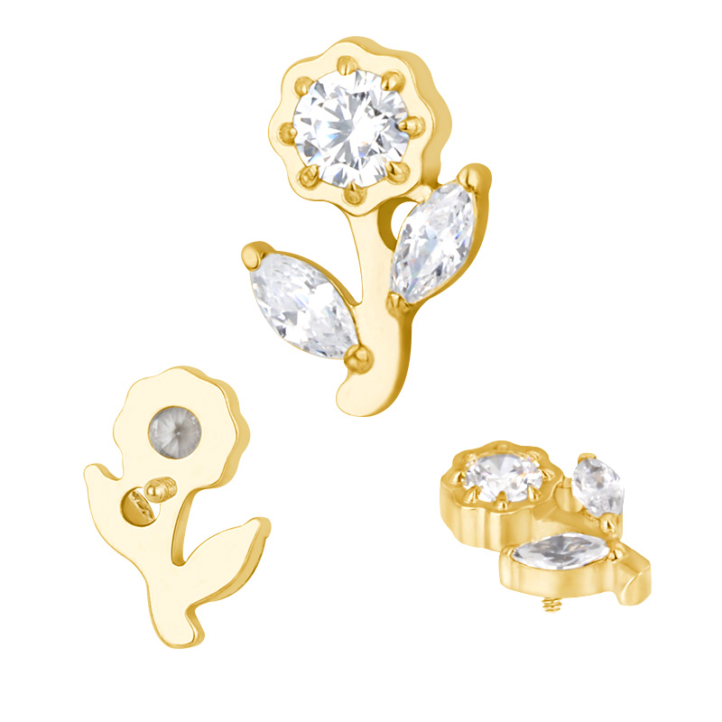 gd.jpg