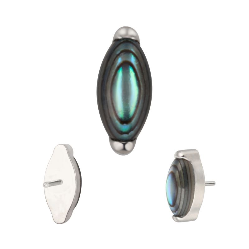 1T-Abalone shell.jpg